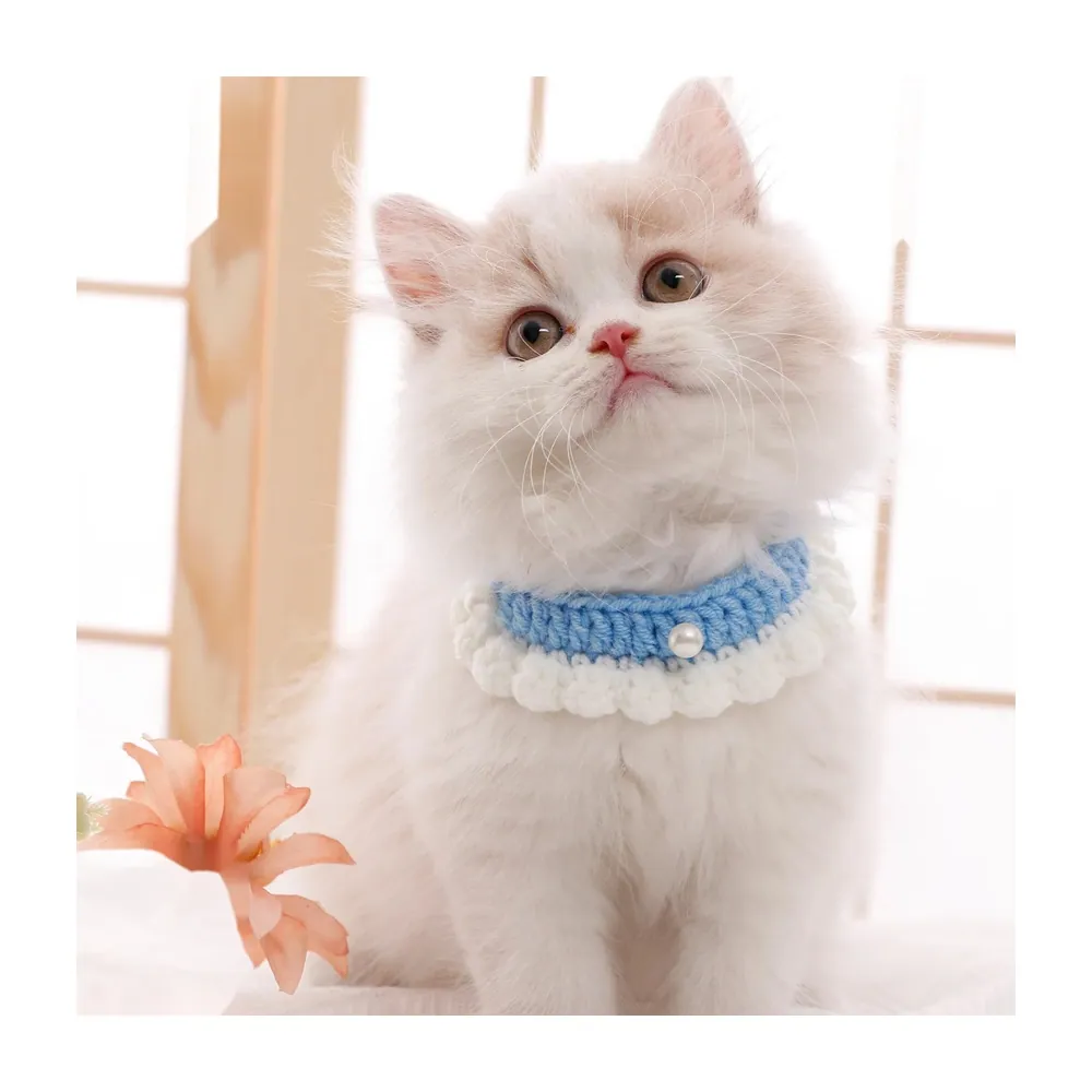 Cat Collar Korean Style (Accessories)