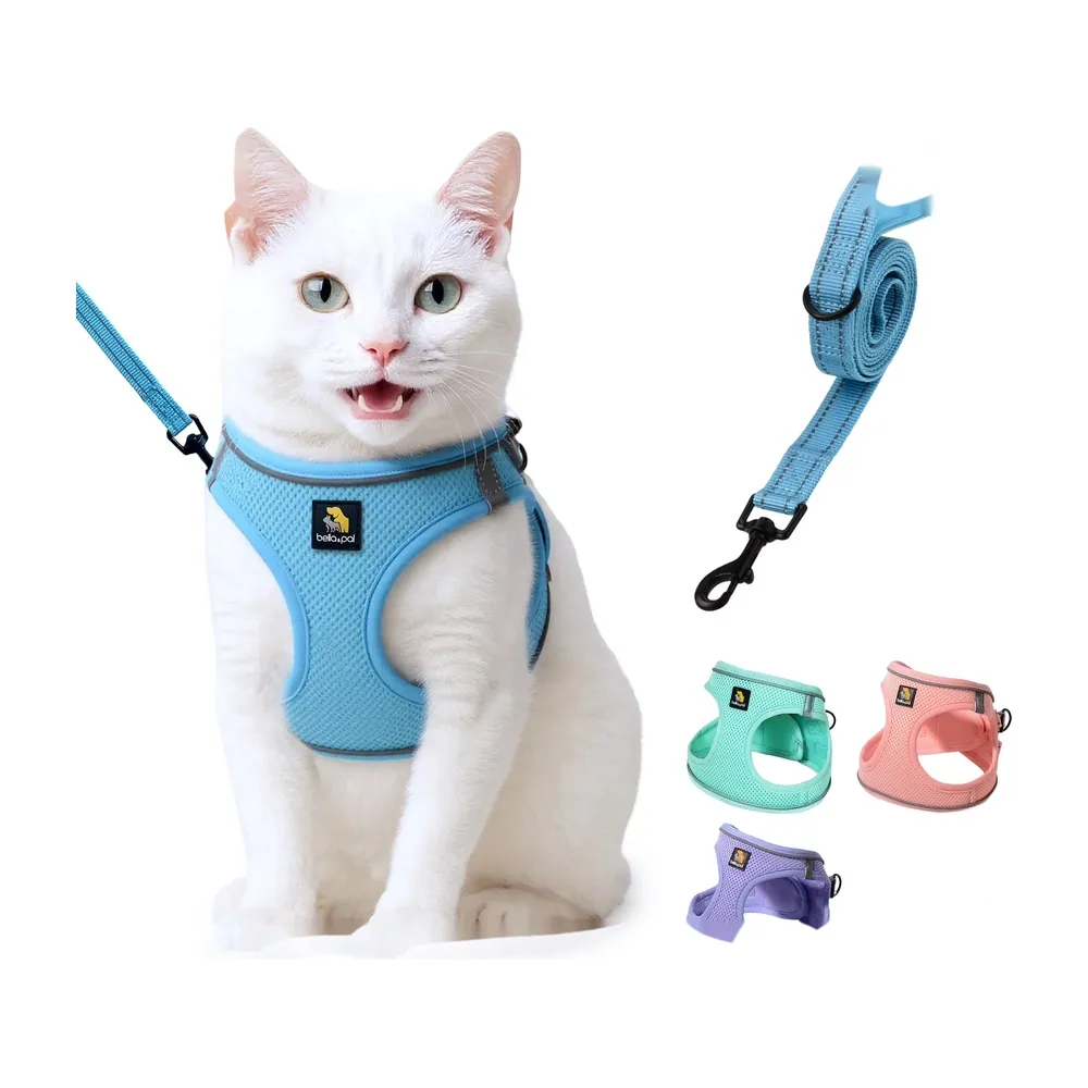 Mash Harnes Mash Harness (Accessories)