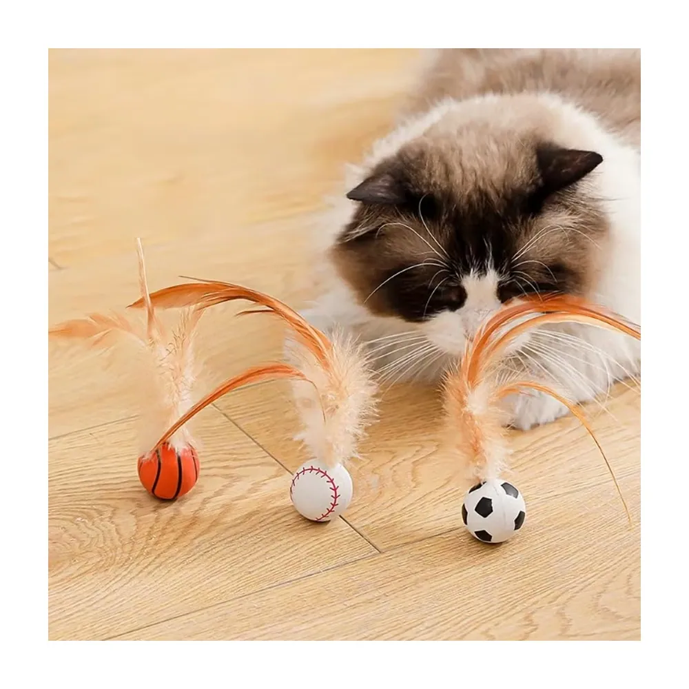 Toy Ball (Toy)