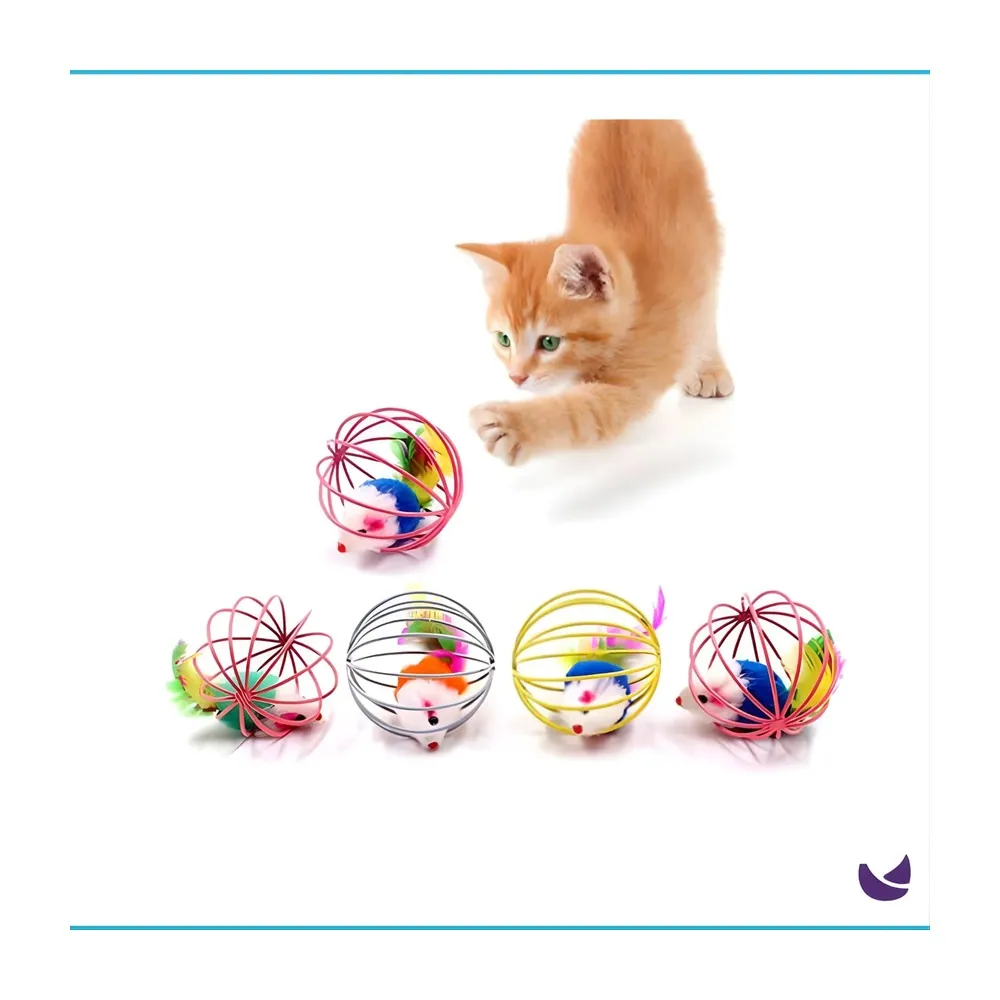Toy Caged Mouse ball (Toy)