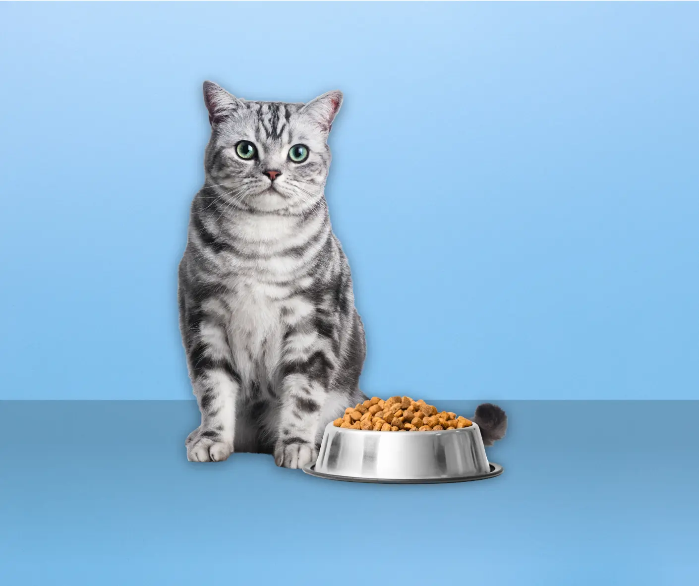 adult-food